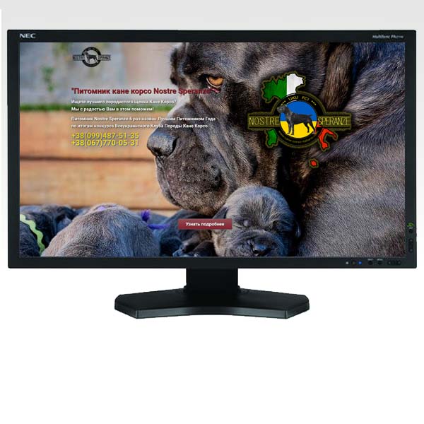 Сайт питомника собак породы Cane Corso