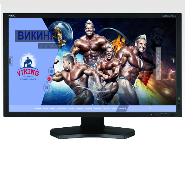 Сеть спортклубов "Викинг"